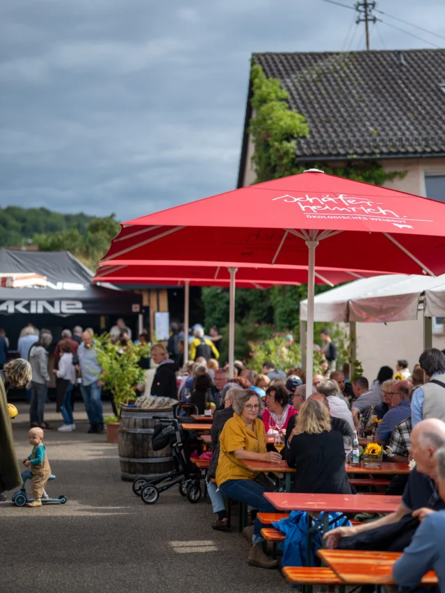 D A N K E !

Ein riesiges Dankeschön an alle, die unser Hoffest zum Jubiläum „35-jähre ökologischer Weinbau” zu einem unvergesslichen Ereignis gemacht haben!

Danke an unseren wunderbaren Kunden, die immer einen guten Tropfen zu schätzen wissen.

Danke an unsere fleißigen Helfer vor und hinter den Kulissen.

Danke an unsere fantastischen Caterer.  @the_bbq_heroes_foodtrailer @dorfkaeserei @fruechtefrank @ruth_lis_hofcafe @fruechtefrank 
 
Danke an @touchwood.acoustic und @wko_heilbronn für die musikalische Unterstützung.

Ihr alle habt dazu beigetragen, dass unser Fest ein voller Erfolg wurde!

Danke sagt,
Familie Hieber 🙏🫶

Ein kleines Dankeschön geht noch raus an Petrus, in Schulnoten war es bei dir eine knappe 3–4, aber die drei ist ja bekanntlich die eins des kleinen Mannes.🤓

Fotos von @michi_moehle @sip_and_smile_gmbh 

#jubilaeum #ökologischerweinbau #ecovin #organicwinesforfuture #derfeineunterschied #feiern #danke