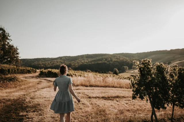 Sommer, Sonne, Sonnenschein

Die Sonne zeigt sich in diesem Sommer von ihrer intensivsten Seite. Unsere Reben genießen das Licht – doch die anhaltende Trockenheit stellt die Natur vor große Herausforderungen.

Seit Wochen ist kaum Regen gefallen, und jeder Tropfen wäre jetzt willkommen. Wir beobachten unsere Weinberge täglich, pflegen sie mit viel Sorgfalt und hoffen auf den ersehnten Regen.

Die Natur gibt den Takt vor – und genau das macht den Weinbau so besonders. Wir bleiben zuversichtlich und freuen uns auf alles, was die kommende Zeit bringt. 🌧️🍷

Drückt mit uns die Daumen für einen kräftigen Landregen! 

Foto: @a.live.photography 

#sommerhitze #zuversicht #derfeineunterschied #itsgettinghotinhere #sonne