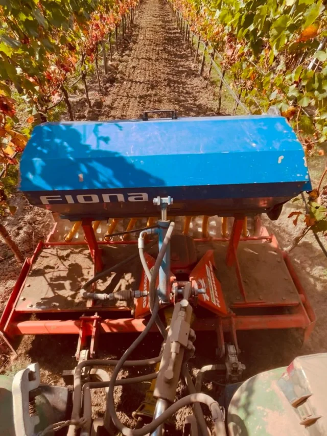 🌱 Winterbegrünung für unsere Weinberge

Die letzten sonnigen Tage haben wir genutzt, um in unseren Weinbergen eine Winterbegrünung aus Wicken und Roggen einzusäen. 

Dabei übernimmt der Roggen die Rolle der Stützfrucht: An ihm kann sich die Wicke hochranken und gemeinsam mit ihm eine schützende Pflanzendecke bilden.

Und warum?
- Schutz vor Erosion
- Konservierung von Nährstoffen
- Förderung des Humusaufbaus

Und wenn alles nach Plan läuft, erwartet uns im Frühjahr eine blühende Begrünung – ein kleines Paradies für Bienen und allem anderen was summt und brummt.

So tun wir nicht nur unseren Böden etwas Gutes, sondern schaffen gleichzeitig Lebensraum und Nahrung für zahlreiche Insekten. 💚

#derfeineunterschied #organicwinesforfuture #ecovin #artenvielfalt #humusaufbau